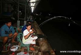 Cara Mancing Ikan Patin Di Kolam Malam Hari